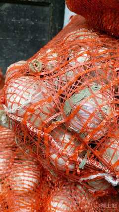 【新鮮蒜廠家直銷2017跑江湖地?cái)偀豳u農(nóng)家大蒜10元3斤模式新鮮大蒜SC12343456SC1234 3456】金牛區(qū)坤億商貿(mào)部 - 產(chǎn)品庫(kù)