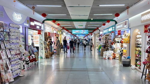 財經(jīng)觀察 總花費(fèi)增速超出游人次 今年五一消費(fèi)何以 旺丁又旺財